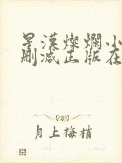 星汉灿烂小说无删减正版在线阅读