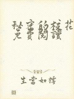 秘密的校花小说免费阅读