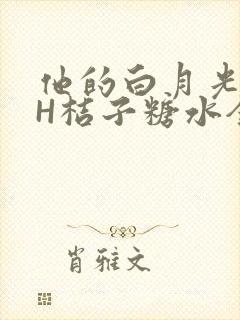 他的白月光HVH桔子糖水全文