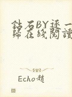 钻石BY逐一而归在线阅读