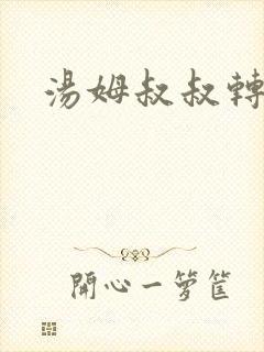 汤姆叔叔转接口