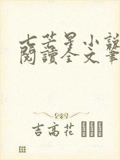 七芒星小说免费阅读全文笔趣阁