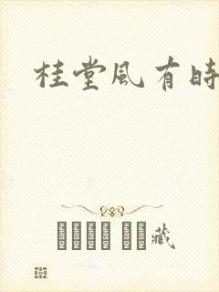 桂堂风有时封面