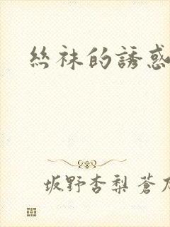 丝袜的诱惑小说