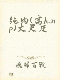 纯肉(高h.np)大尺度