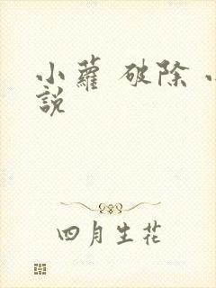 小萝 破除 小说
