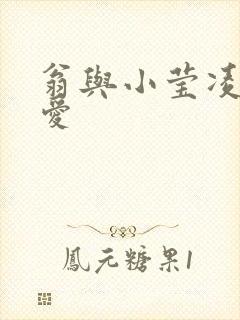 翁与小莹凌晨欢爱