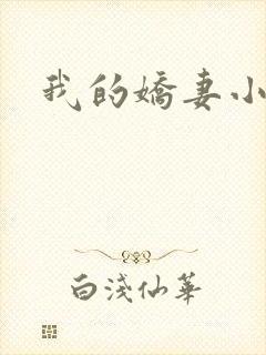 我的娇妻小说