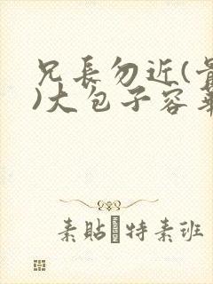 兄长勿近(骨科)大包子容华