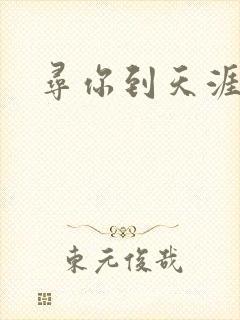 寻你到天涯封面