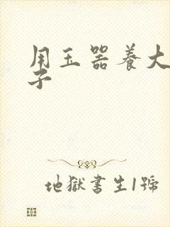 用玉器养大的皇子封面