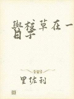 与校草在一起的日子