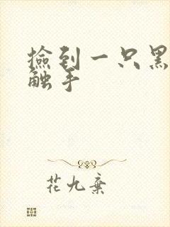 捡到一只黑心小触手