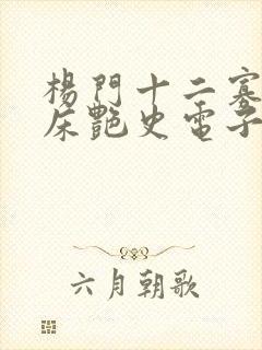 杨门十二寡妇肉床艳史电子书