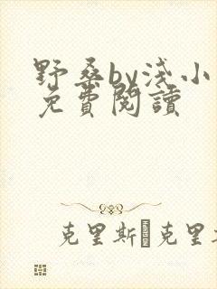 野桑by浅小说免费阅读