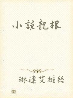 小说龙根