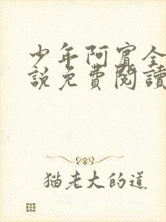 少年阿宾全文小说免费阅读笔趣阁