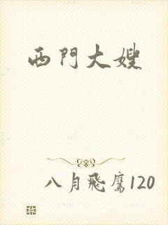 西门大嫂封面