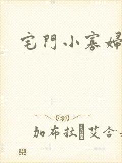 宅门小寡妇