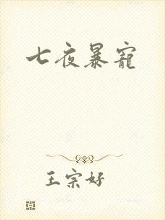 七夜暴宠封面
