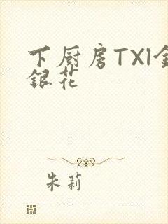 下厨房TXl金银花