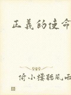 正义的使命小说