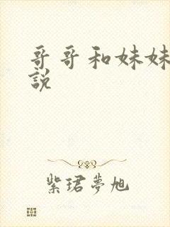 哥哥和妹妹的小说封面