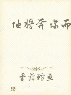 他将奔你而来封面