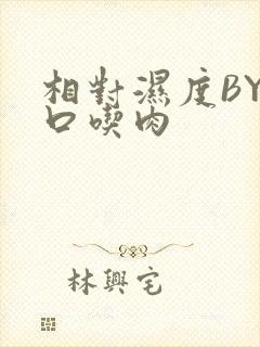 相对湿度BY大口吃肉