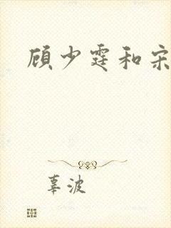 顾少霆和宋斯曼