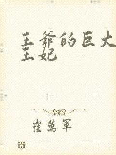 王爷的巨大进入王妃