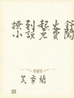 撩到起火舒漾的小说免费阅读全文