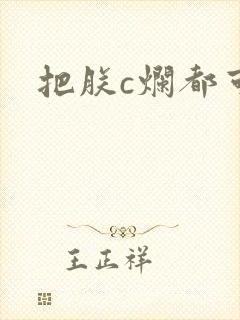 把朕c烂都可以封面