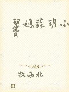 儿媳苏玥小说免费