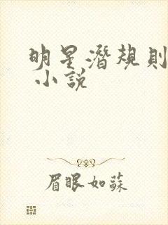 明星潜规则之皇 小说