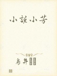 小说小芳