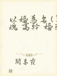 以婚为名 (军魂 高干 婚恋)