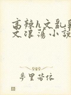 高辣h文乱乳h文浪荡小说苏柔