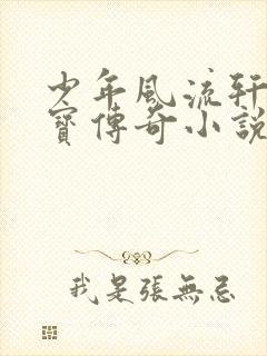 少年风流轩辕大宝传奇小说封面