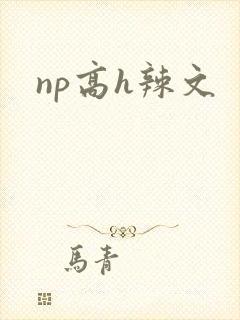 np高h辣文