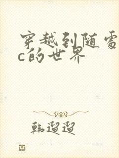 穿越到随处可以c的世界