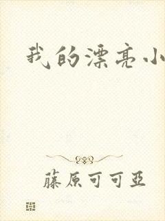 我的漂亮小后妈