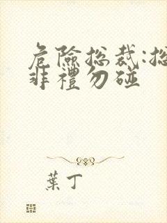 危险总裁:总裁非礼勿碰