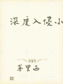 深度入侵小说封面