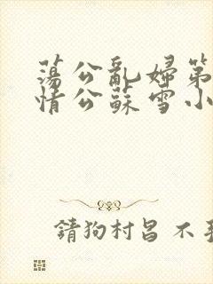 荡公乱妇第1章情公苏雪小说