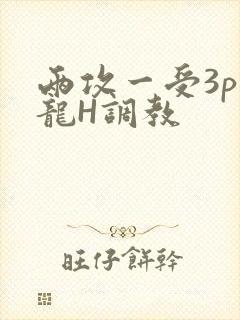 两攻一受3p双龙H调教