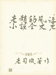 老赵的风流人生小说全文免费阅读封面