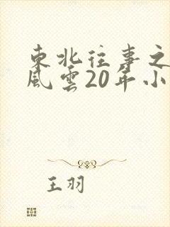 东北往事之黑道风云20年小说