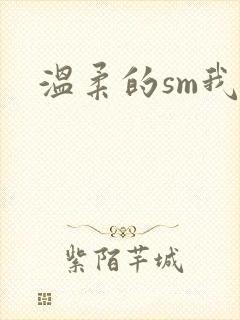 温柔的sm我
