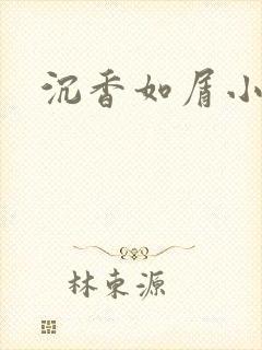 沉香如屑小说封面